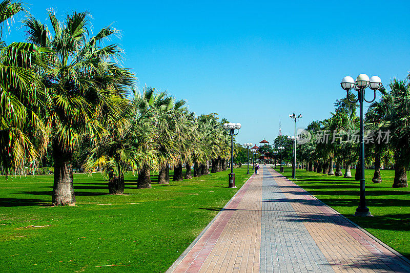 2020年1月16日:美丽的Al Mamzar海滩迪拜，休闲公园。